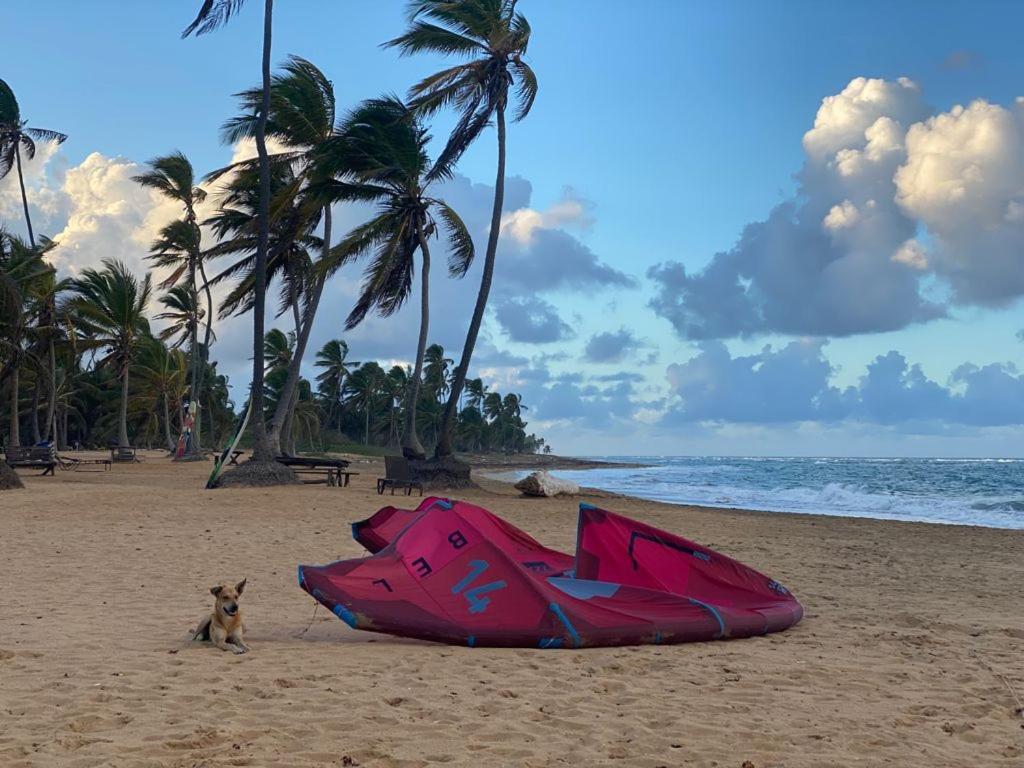 Cabarete Maravilla Eco Lodge Boutique Beach Surf Encuentro, Kite, By Aa Crypto Group エクステリア 写真