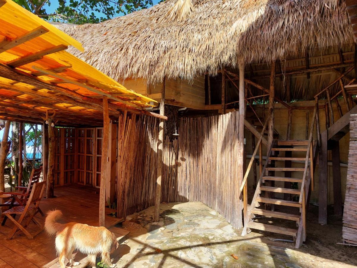 Cabarete Maravilla Eco Lodge Boutique Beach Surf Encuentro, Kite, By Aa Crypto Group エクステリア 写真