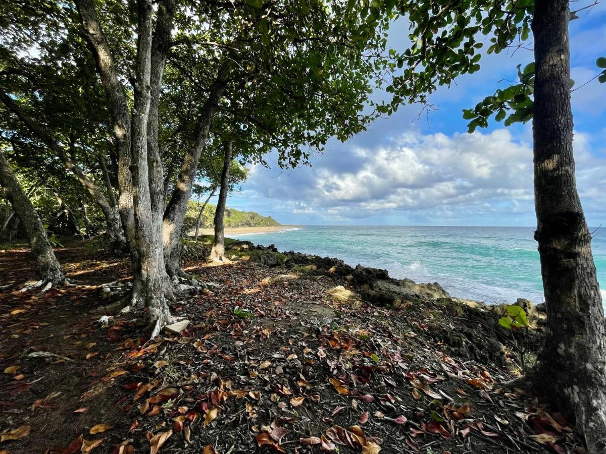 Cabarete Maravilla Eco Lodge Boutique Beach Surf Encuentro, Kite, By Aa Crypto Group エクステリア 写真