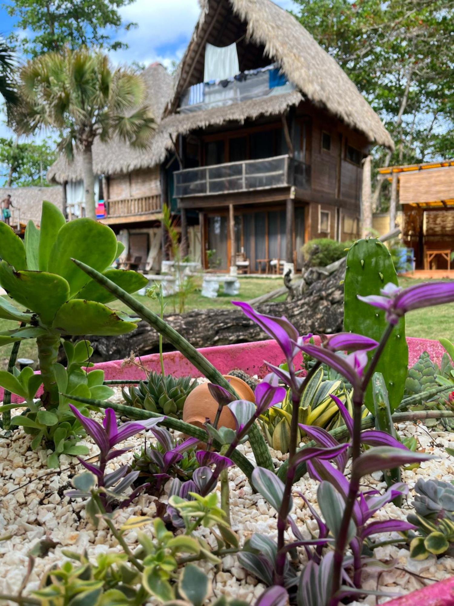 Cabarete Maravilla Eco Lodge Boutique Beach Surf Encuentro, Kite, By Aa Crypto Group エクステリア 写真